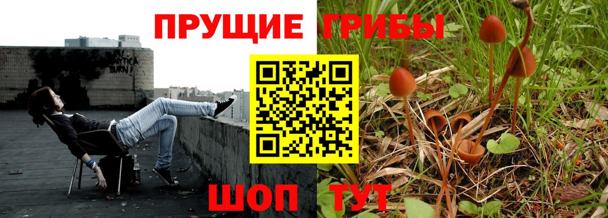Галлюциногенные грибы мицелий Бугульма