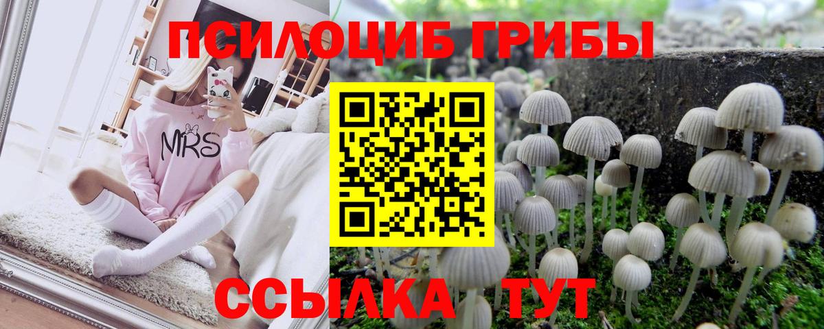 Галлюциногенные грибы ЛСД  магазин продажи   Бугульма  Галлюциногенные грибы MAGIC MUSHROOMS  Вход с VPN 